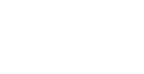 Antalya VIP Nakliyat